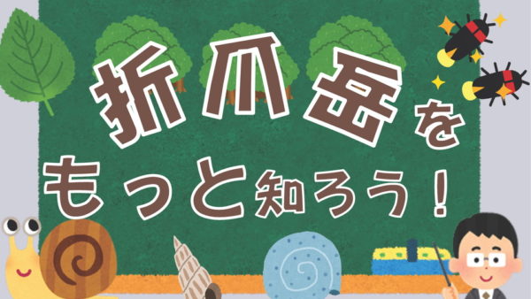 折爪岳・ヒメボタル学習講座「折爪岳をもっと知ろう！」開催のおしらせ